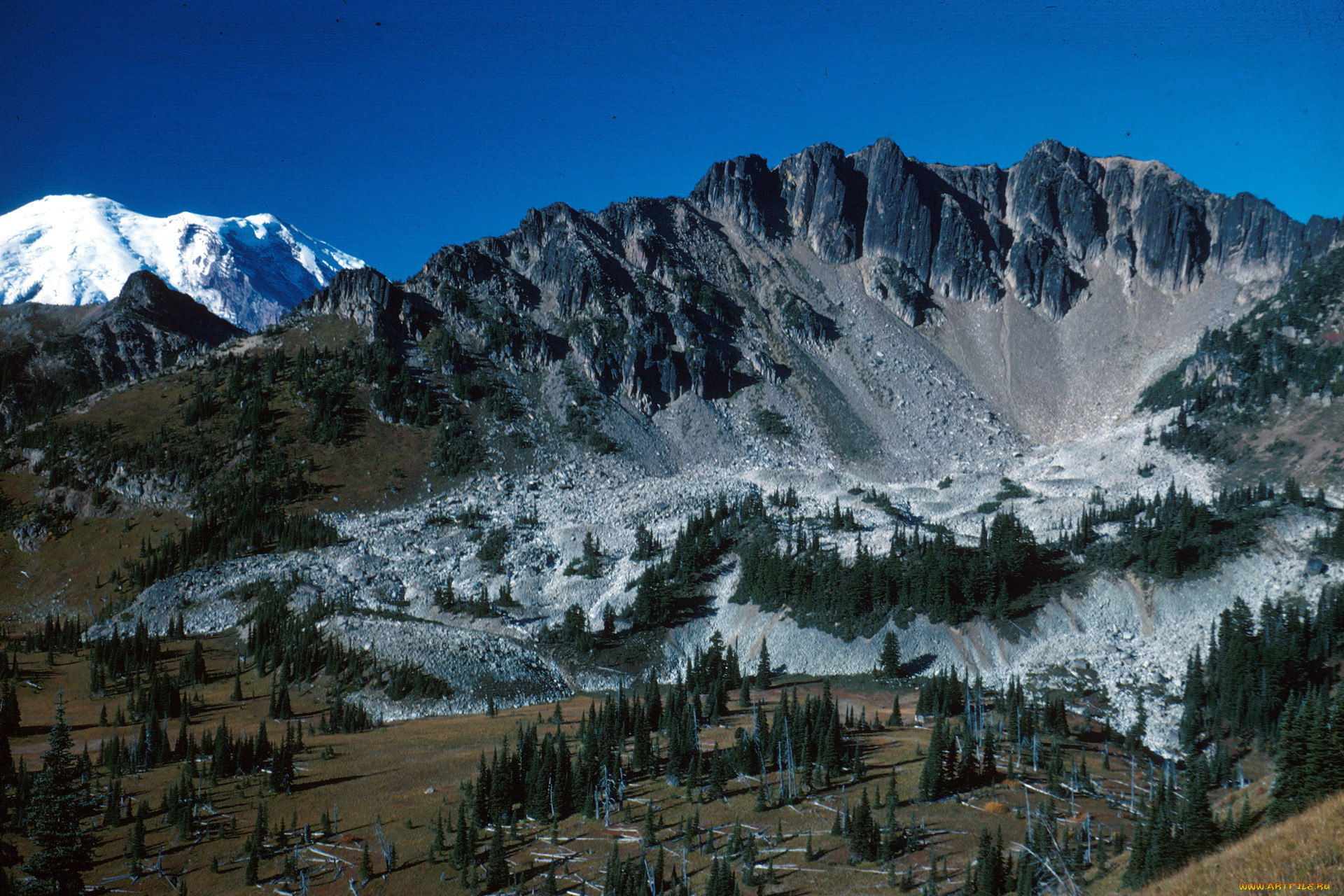 , mount, rainier, national, park, washington, , , 